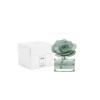 DIFFUSORE ROSA VERDE CUOIO E FRUTTI 50ML