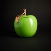 SALVADANAIO APPLE GREEN