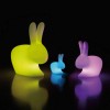 LAMPADA RABBIT SMALL OUTDOOR LED RICARICABILE